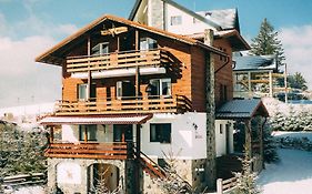 Vila Stefana Paltinis